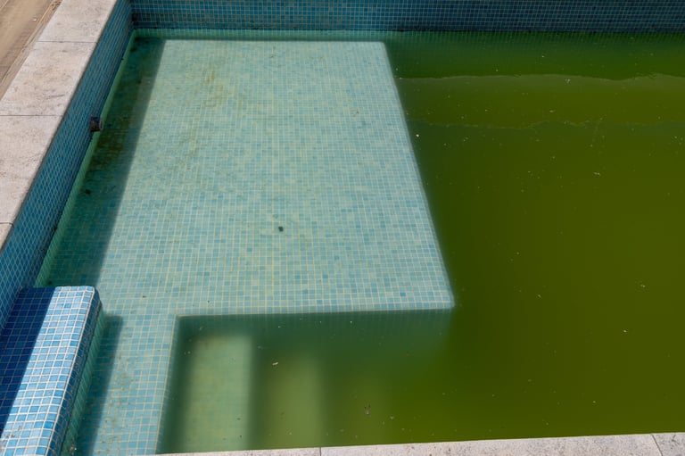 A neglected swimming pool filled with stagnant, algae-covered green water